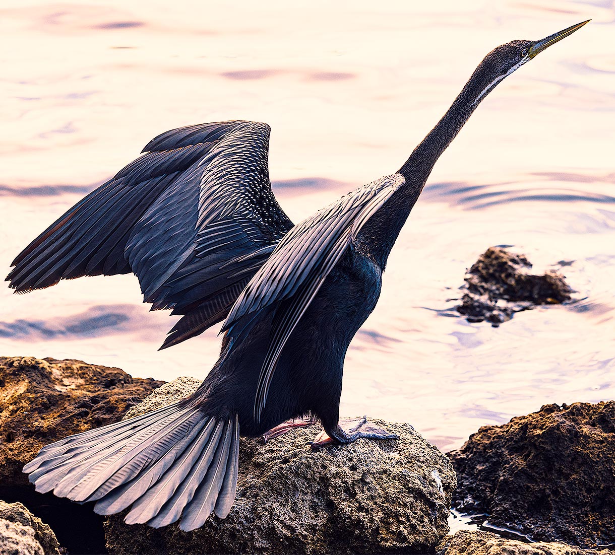 Sharper Photos: 3 Tips You Might Be Missing