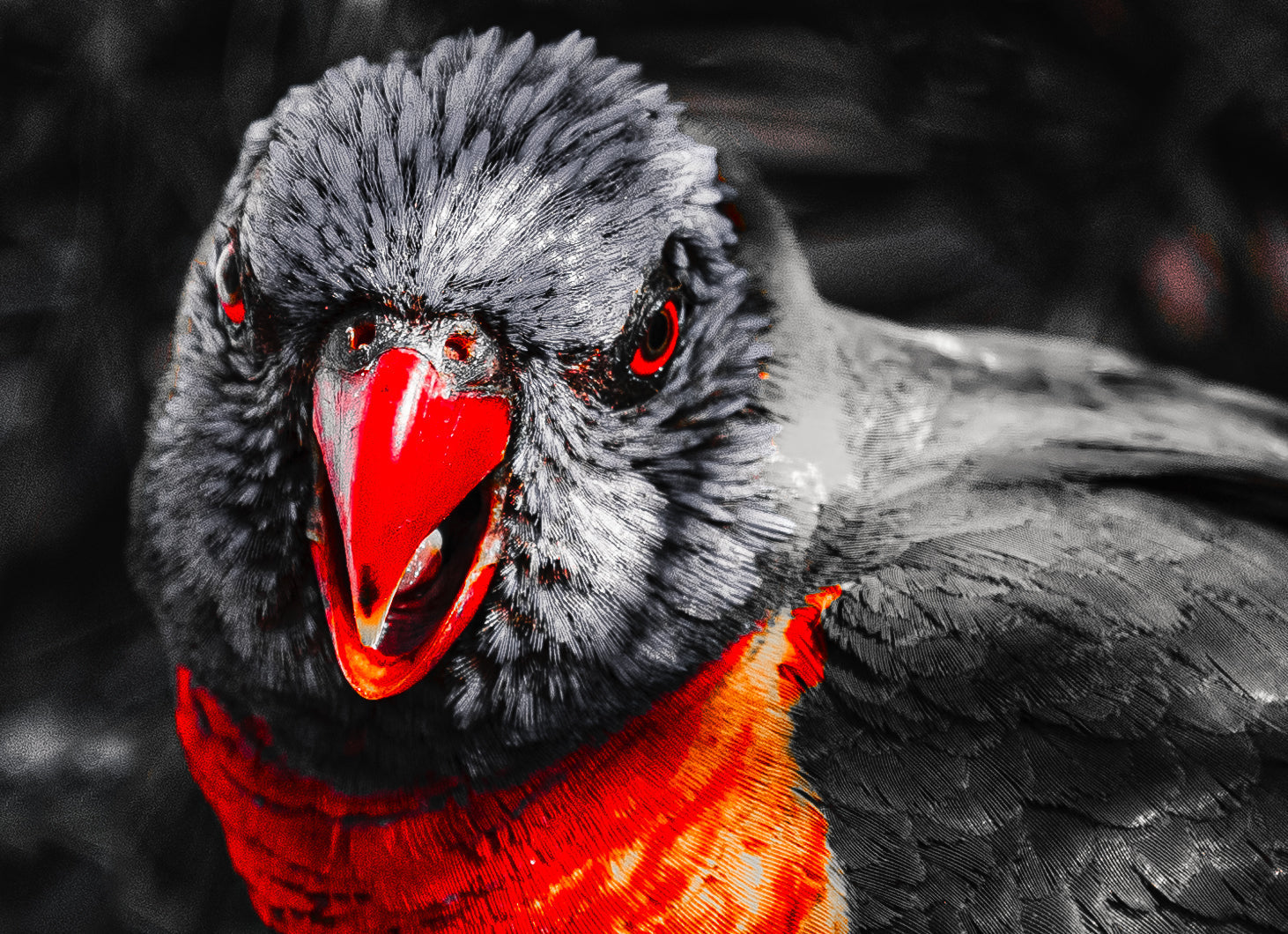 Colour Accent Editing: Turn Ordinary Subjects Into Extraordinary