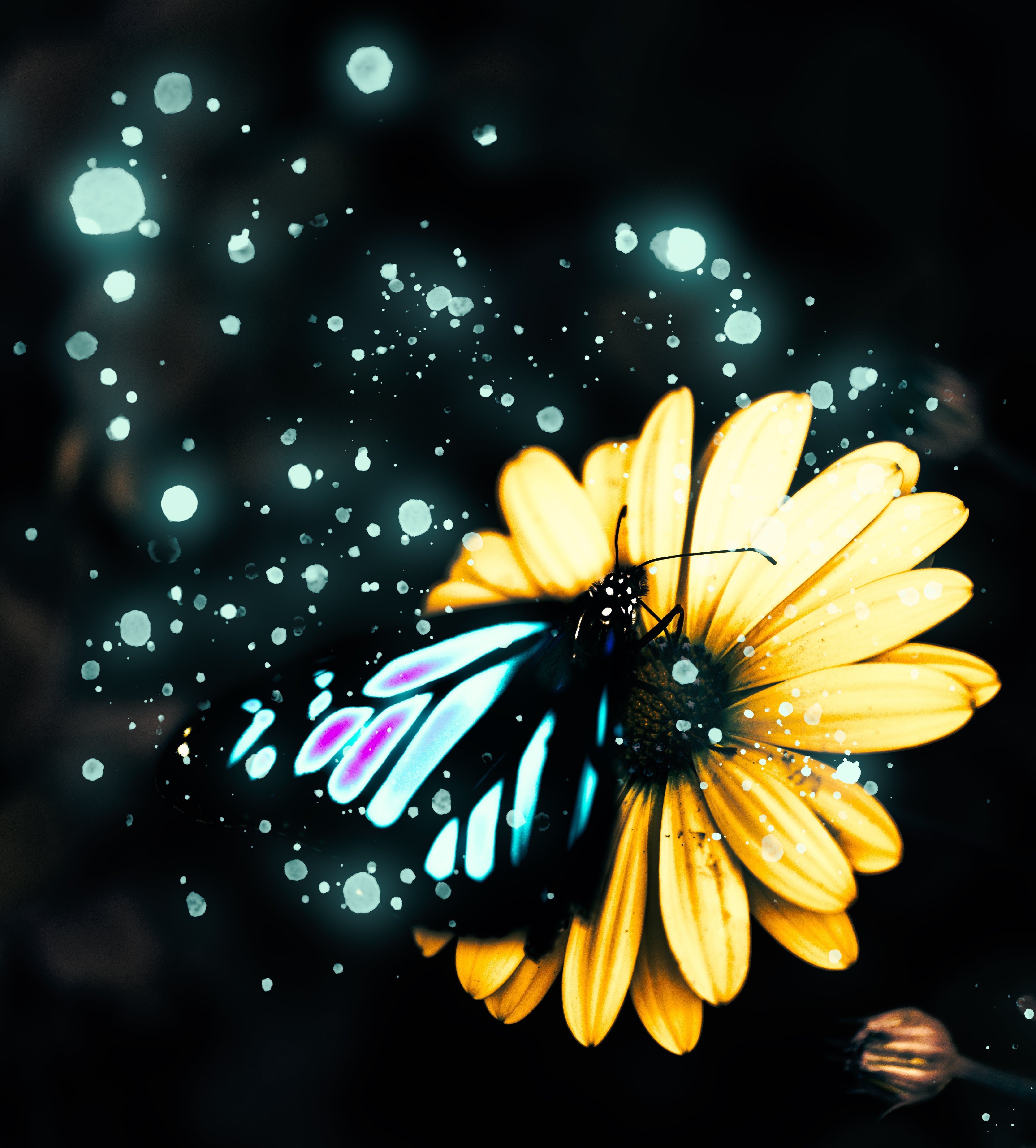 Master the Glow Effect: Simple Editing Tips to Create Beautiful Glowing Images