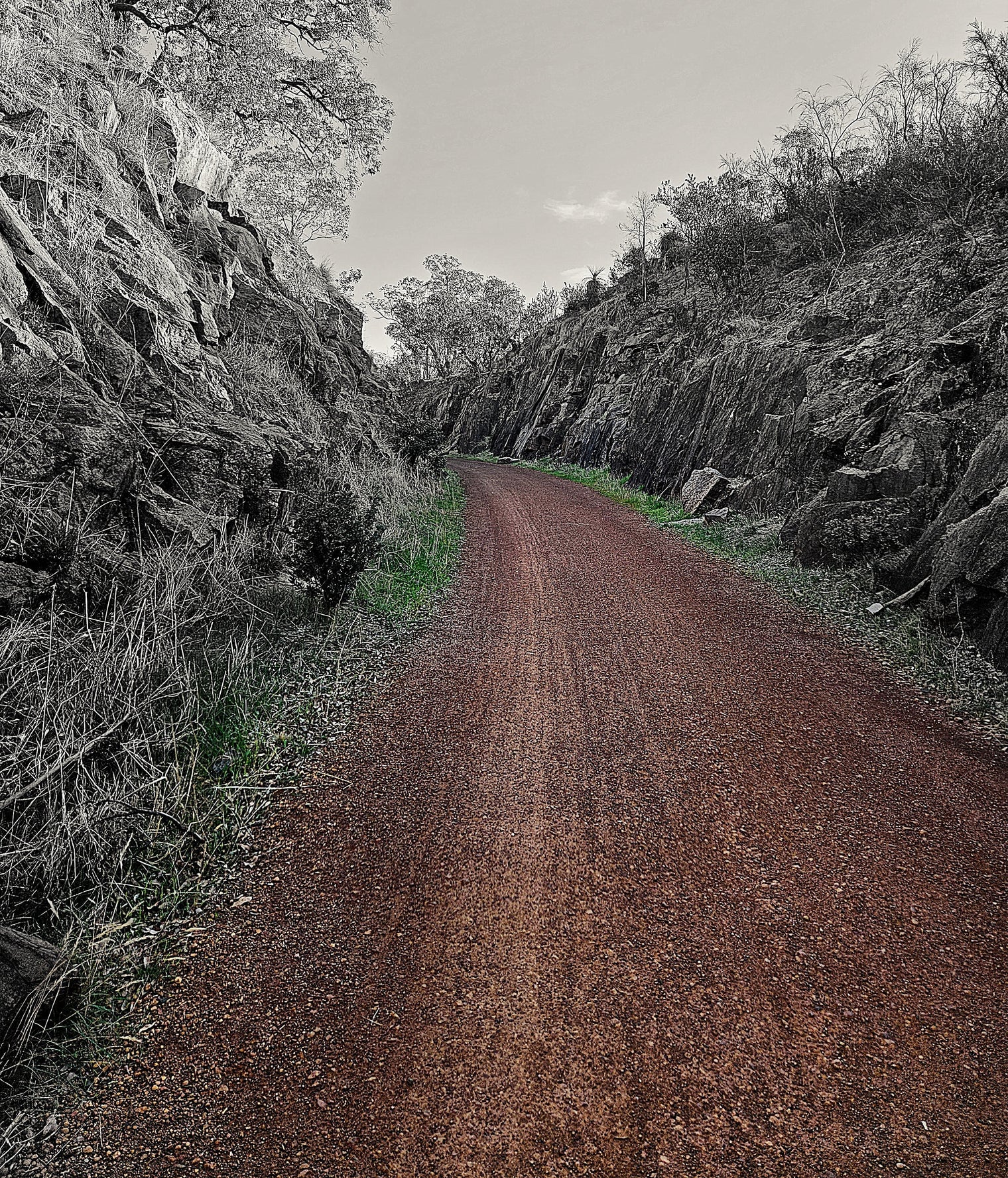 3 Secret Techniques For Sharper Photos