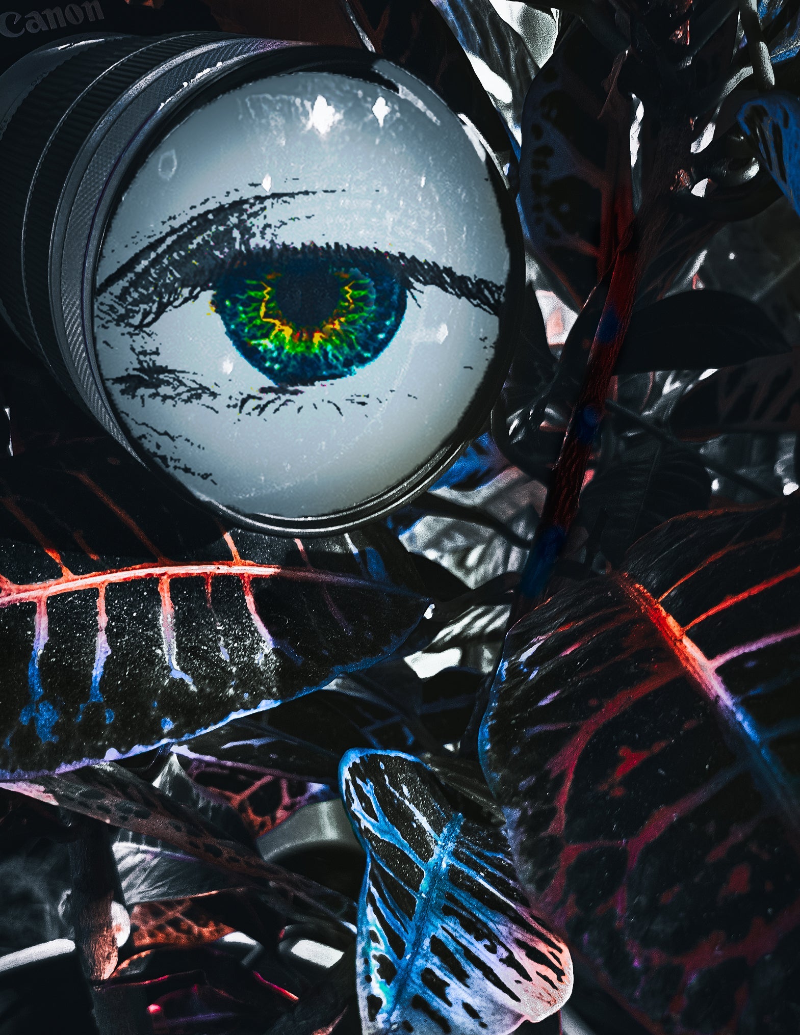 3 Main Camera Settings For Sharper Photos: Explained Using Eye Analogy